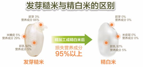 以匠心致創新丨東芝電飯煲匠心創發芽好米 圖2