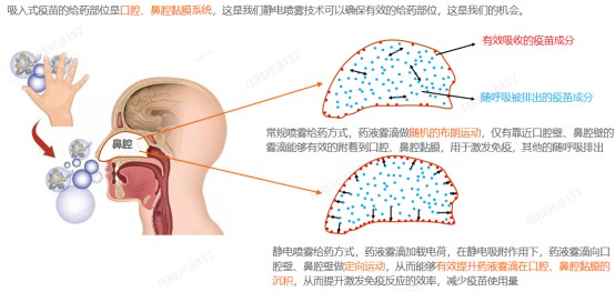 我國研發(fā)出“吸入式疫苗靶向給藥裝置”，實現(xiàn)藥劑全覆蓋