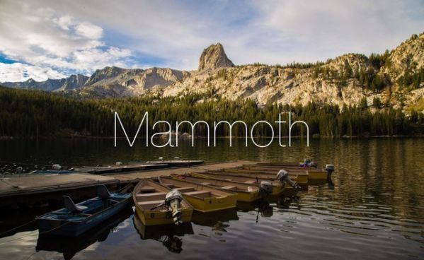 曝蘋果公司“Mammoth”商標(biāo)獲得延期 或?qū)⒂糜趍acOS 13
