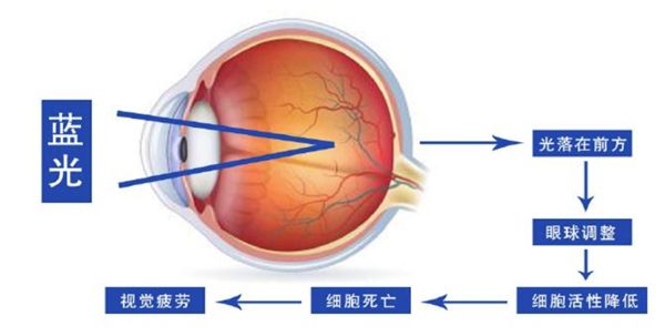 雙屏的電子墨水顯示器，你見過么？ 圖2