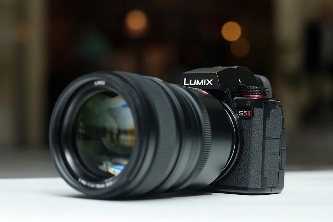 令人印象深刻的自動對焦性能，使用松下LUMIX S5M2拍攝寵物有感 圖2