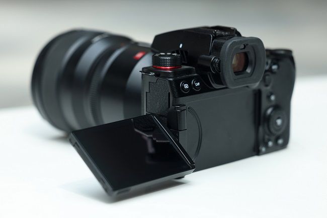 令人印象深刻的自動對焦性能，使用松下LUMIX S5M2拍攝寵物有感 圖1