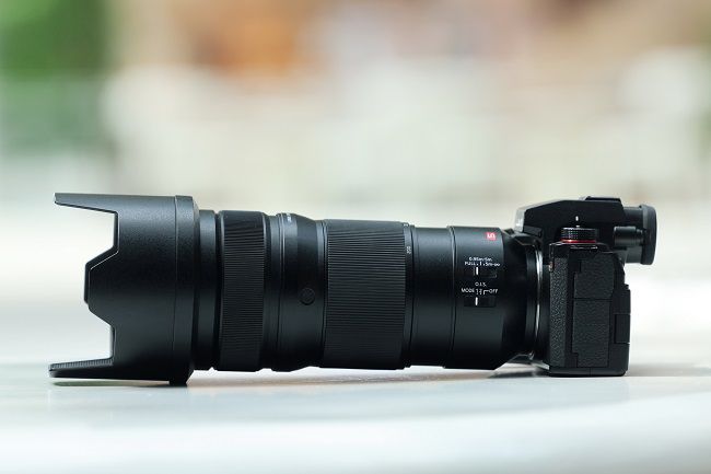 令人印象深刻的自動對焦性能，使用松下LUMIX S5M2拍攝寵物有感 圖4