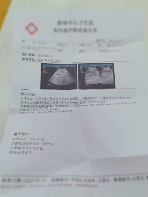 智診科技“好伴AI”助力患者成功脫險(xiǎn)，AI健康咨詢技術(shù)獲醫(yī)療界關(guān)注