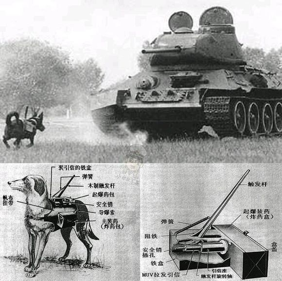 前方高危設(shè)備出沒，請(qǐng)注意！ 圖2