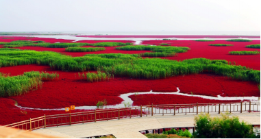 紅海灘國(guó)家風(fēng)景廊道景色 圖3